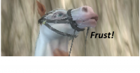 /album/jorvikstar/del-5-png/